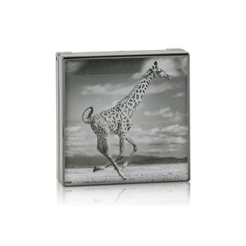 Luminescent Eye Shade - # Giraffe (Burnished Brown)