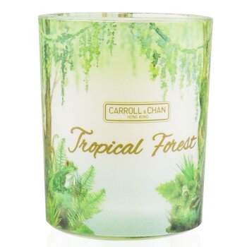 Carroll & Chan 100% Beeswax Votive Candle - Tropical Forest